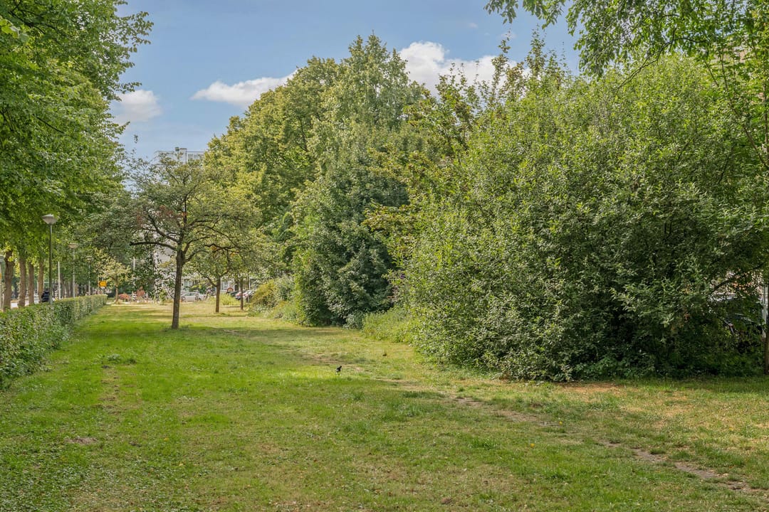 Photo 31 of Kuinderstraat 31-H