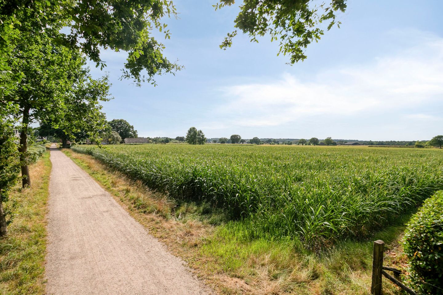 Foto 49 van Bijenkorf 60