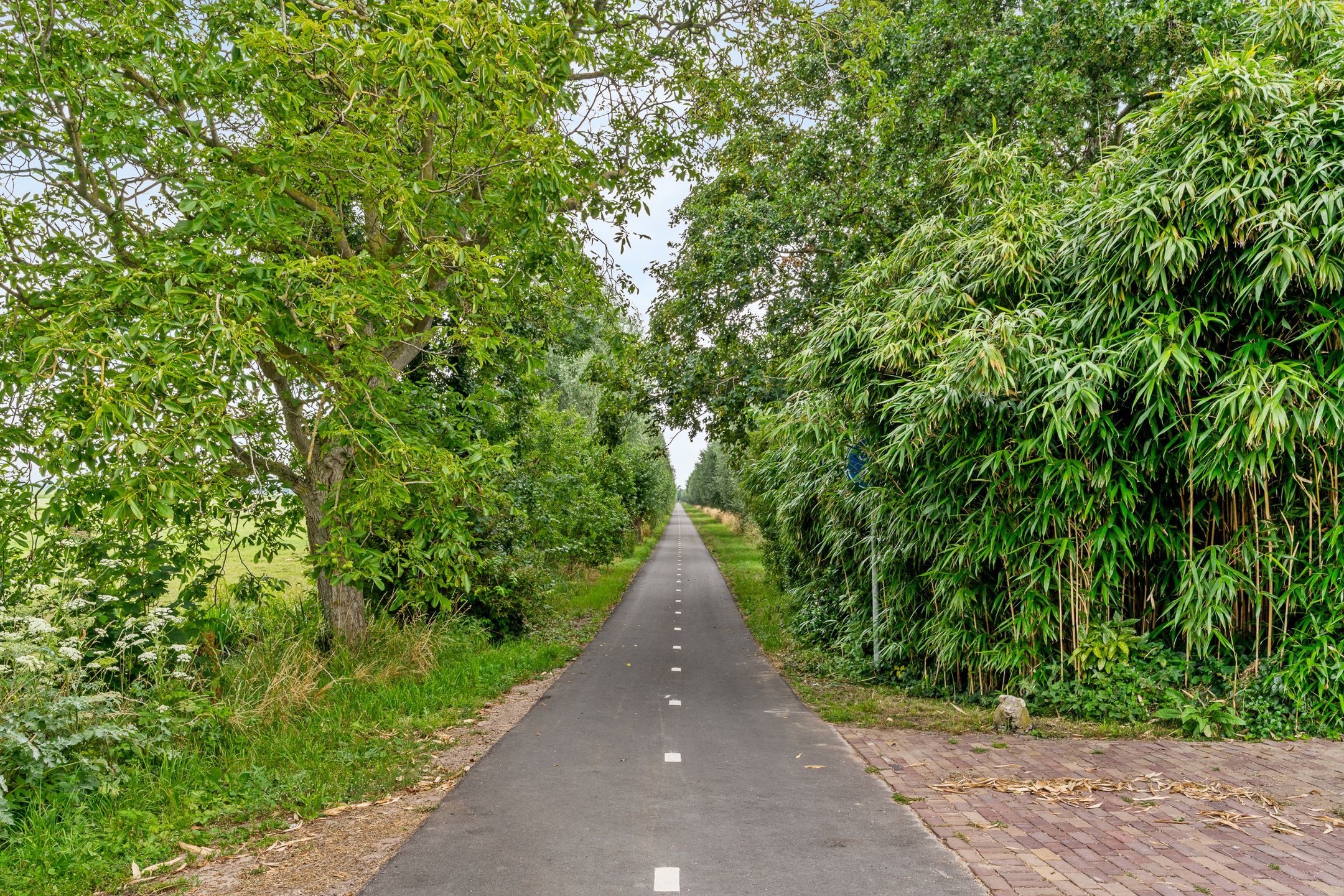 Foto 48 van Houtdijkerpad 5