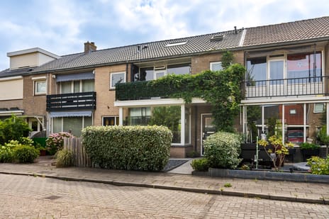 Lijsterbesstraat thumbnail