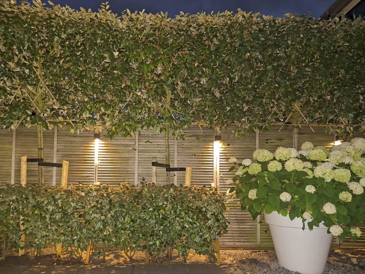 Tussenwoning te koop: Lijsterbesstraat 12, De Zilk