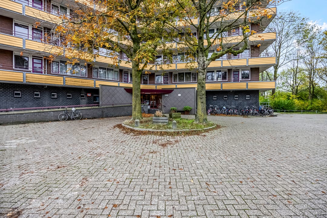 Photo 32 of Thorbeckestraat 244