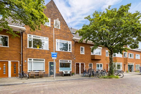 Esdoornstraat thumbnail
