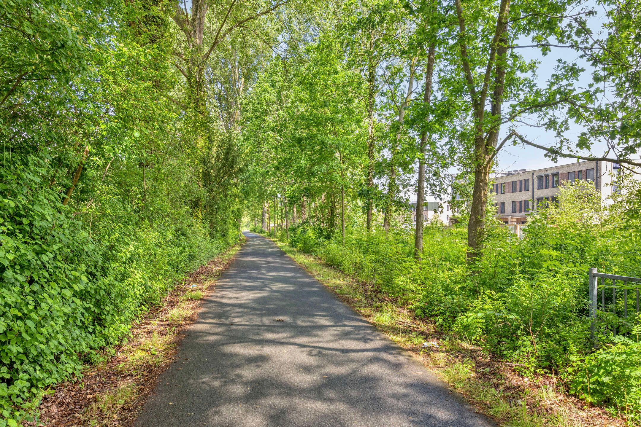 Photo 39 of Baarsweg 166
