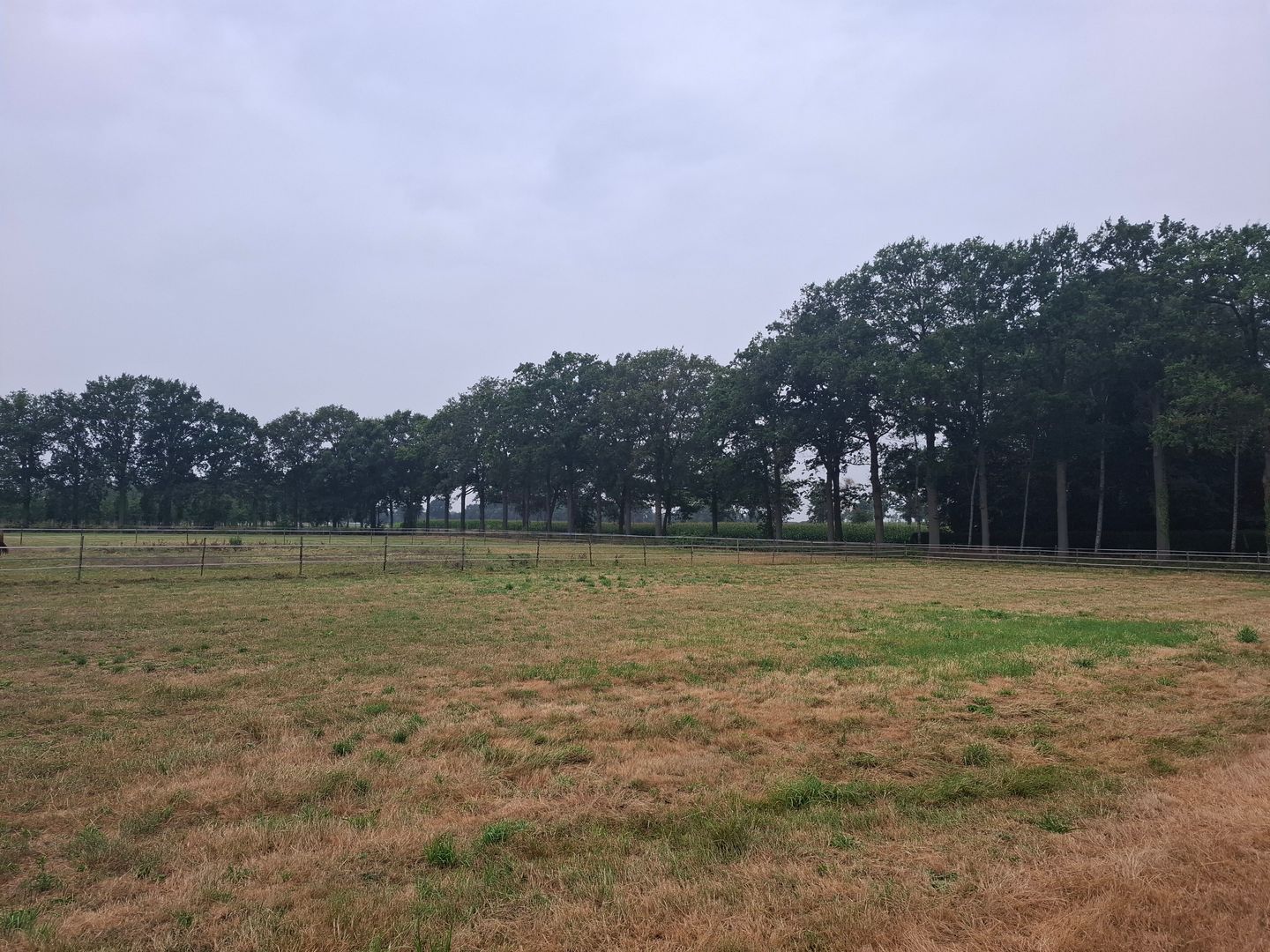 Heideweg - Helvoirt - Afbeelding 3