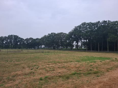 Bekijk foto's