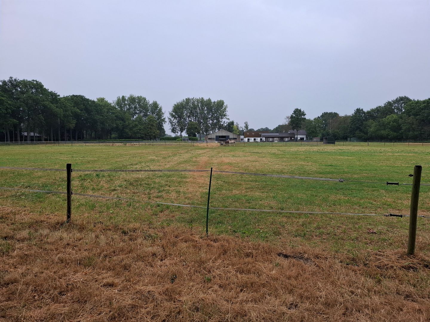 Heideweg - Helvoirt - Afbeelding 6