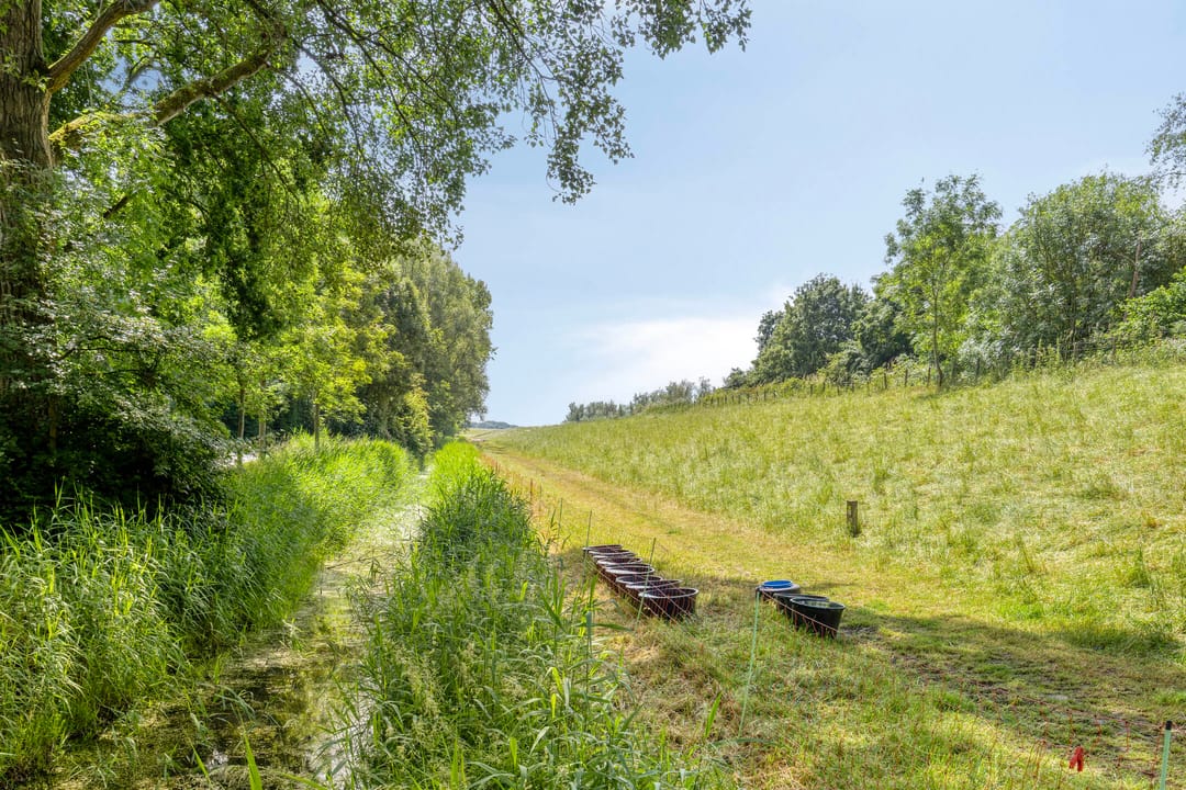 Photo 38 of Baarsweg 166
