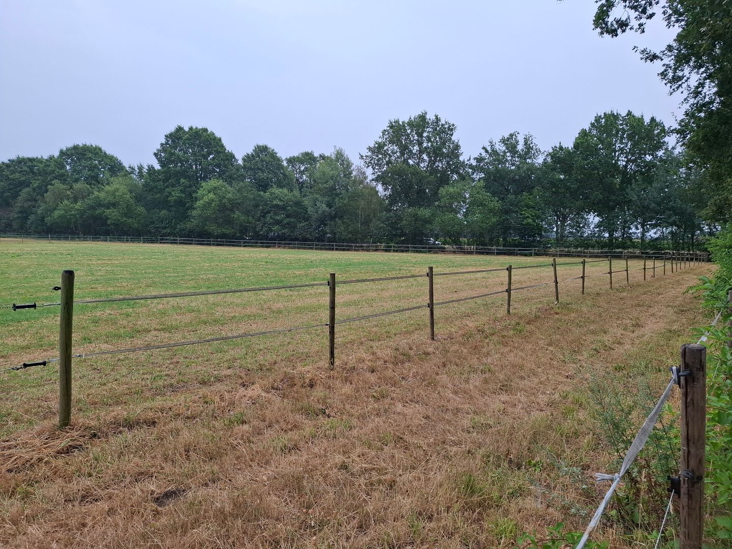 Heideweg - Helvoirt - Afbeelding 5