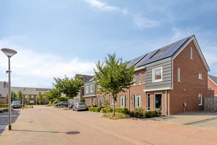 Foto 4 van Goudreinette 11