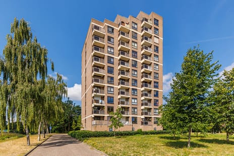 Lodewijkdonk thumbnail