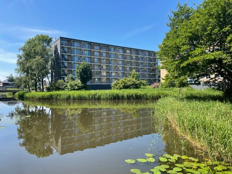 Plutostraat thumbnail