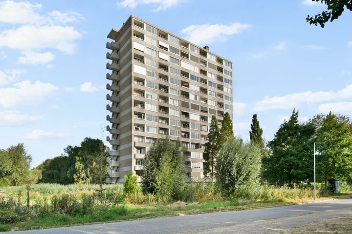 Coornhertstraat 125