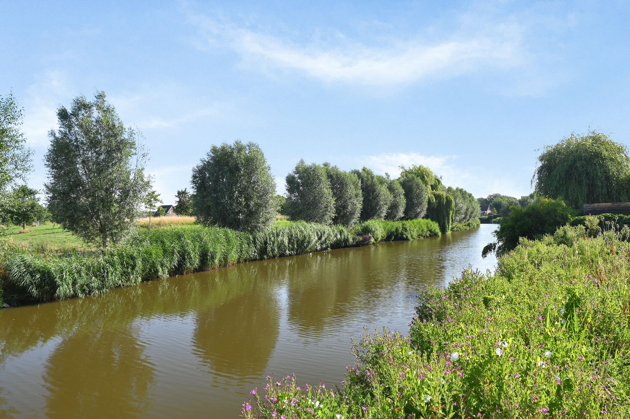 Photo 39 of Zevenster 31