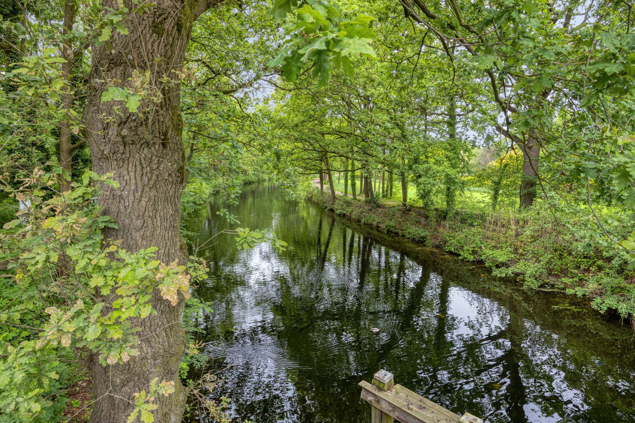 Photo 36 of Leemkuylen 78