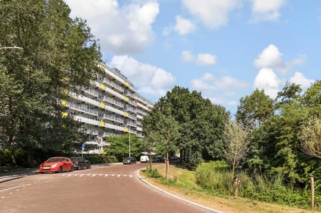 De Brink thumbnail