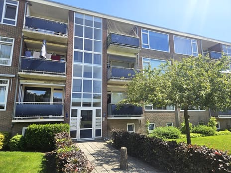 Berberisstraat thumbnail