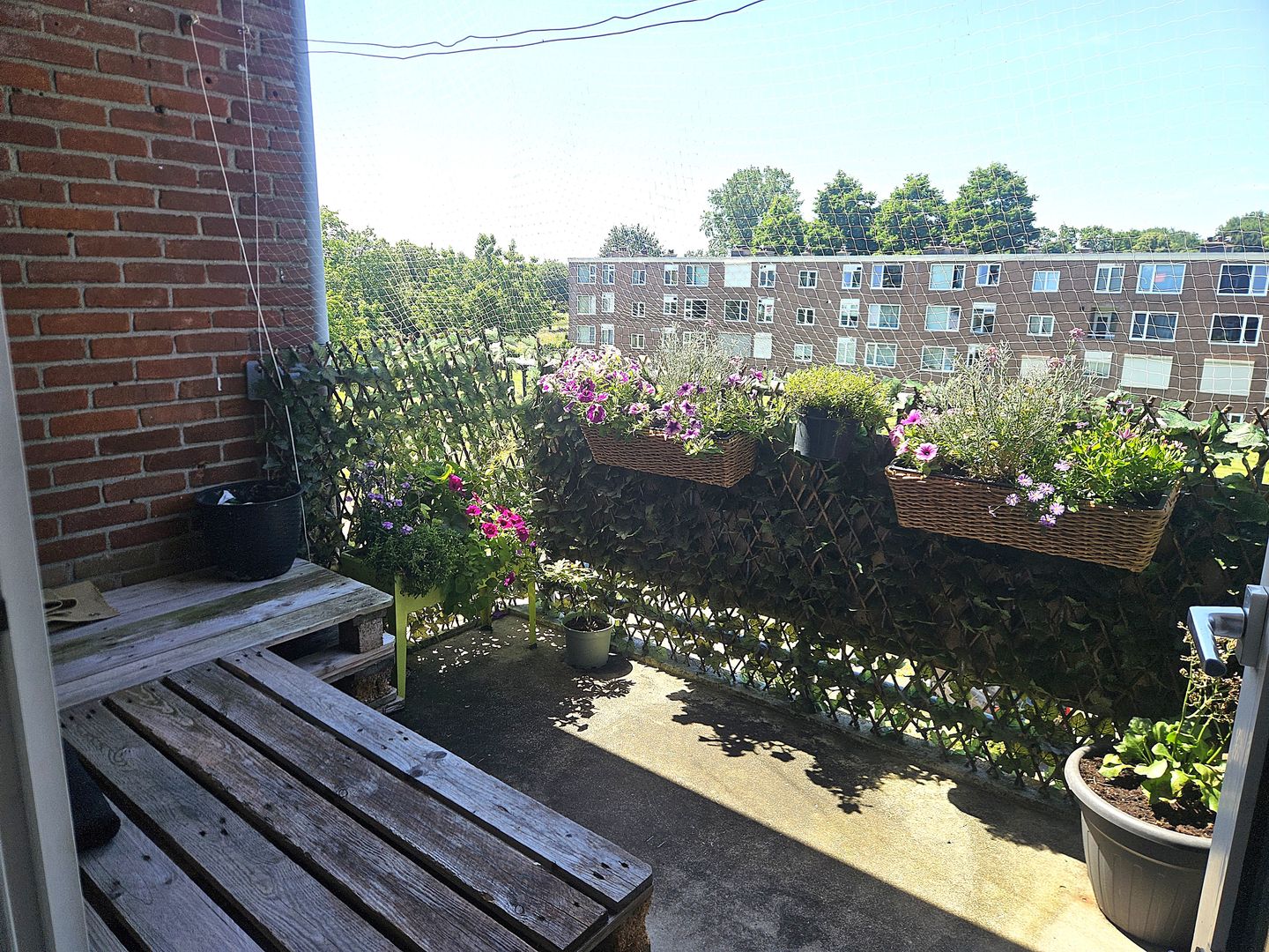Photo 19 of Berberisstraat 11