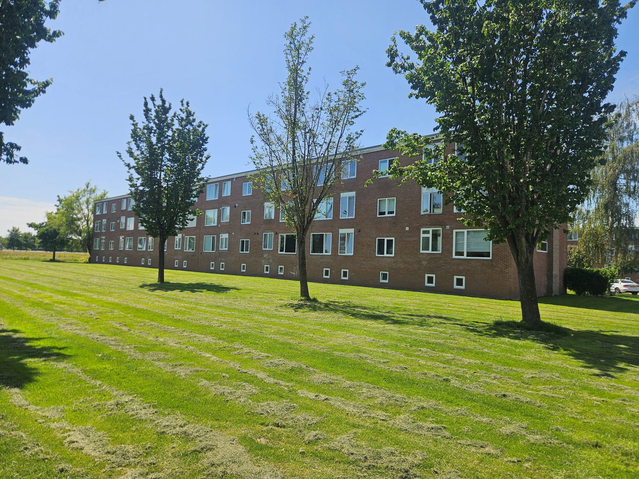 Photo 24 of Berberisstraat 11