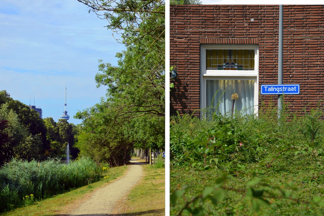 Foto 43 van Talingstraat 147-B