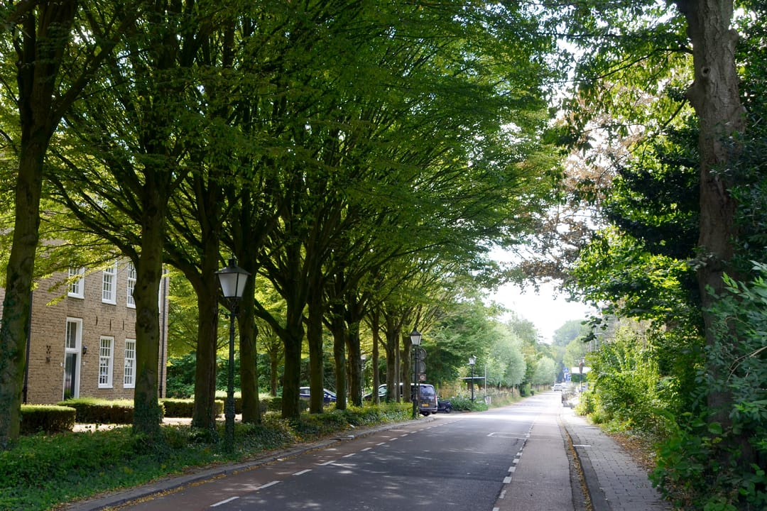 Foto 46 van Talingstraat 147-B