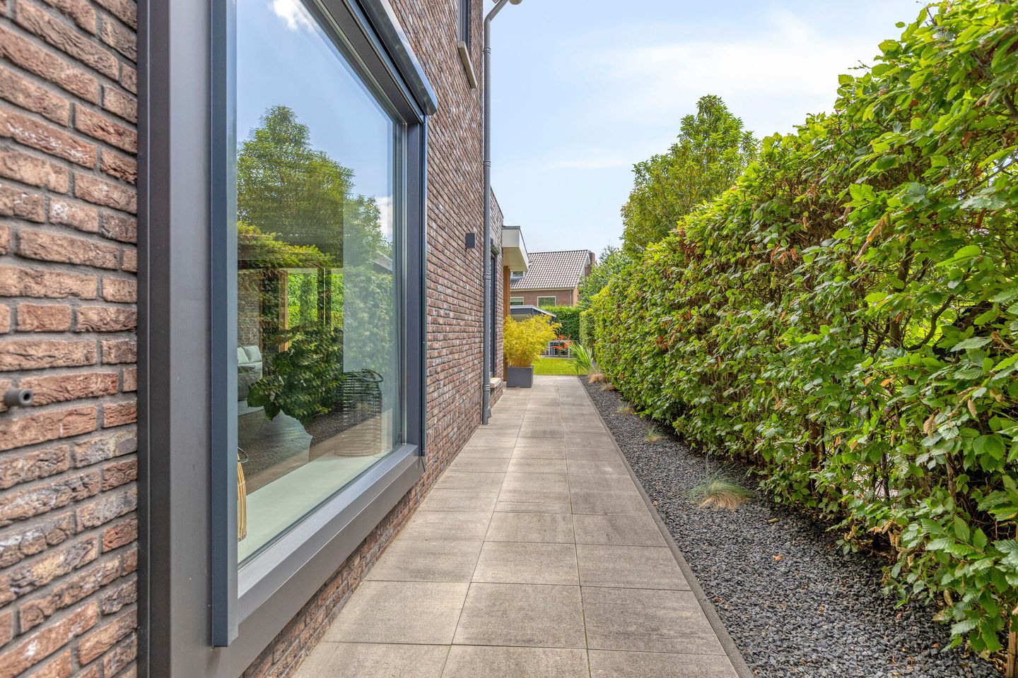 Photo 50 of Watersalamander 13