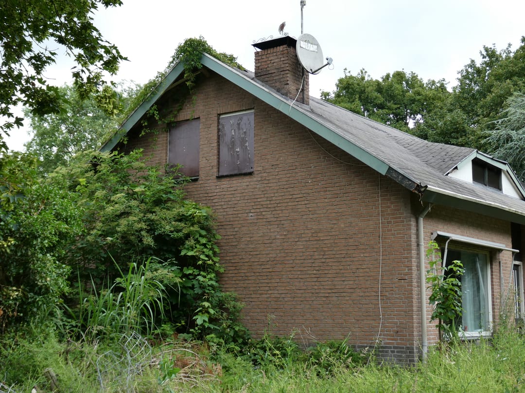 Foto 7 van Koekoek 4
