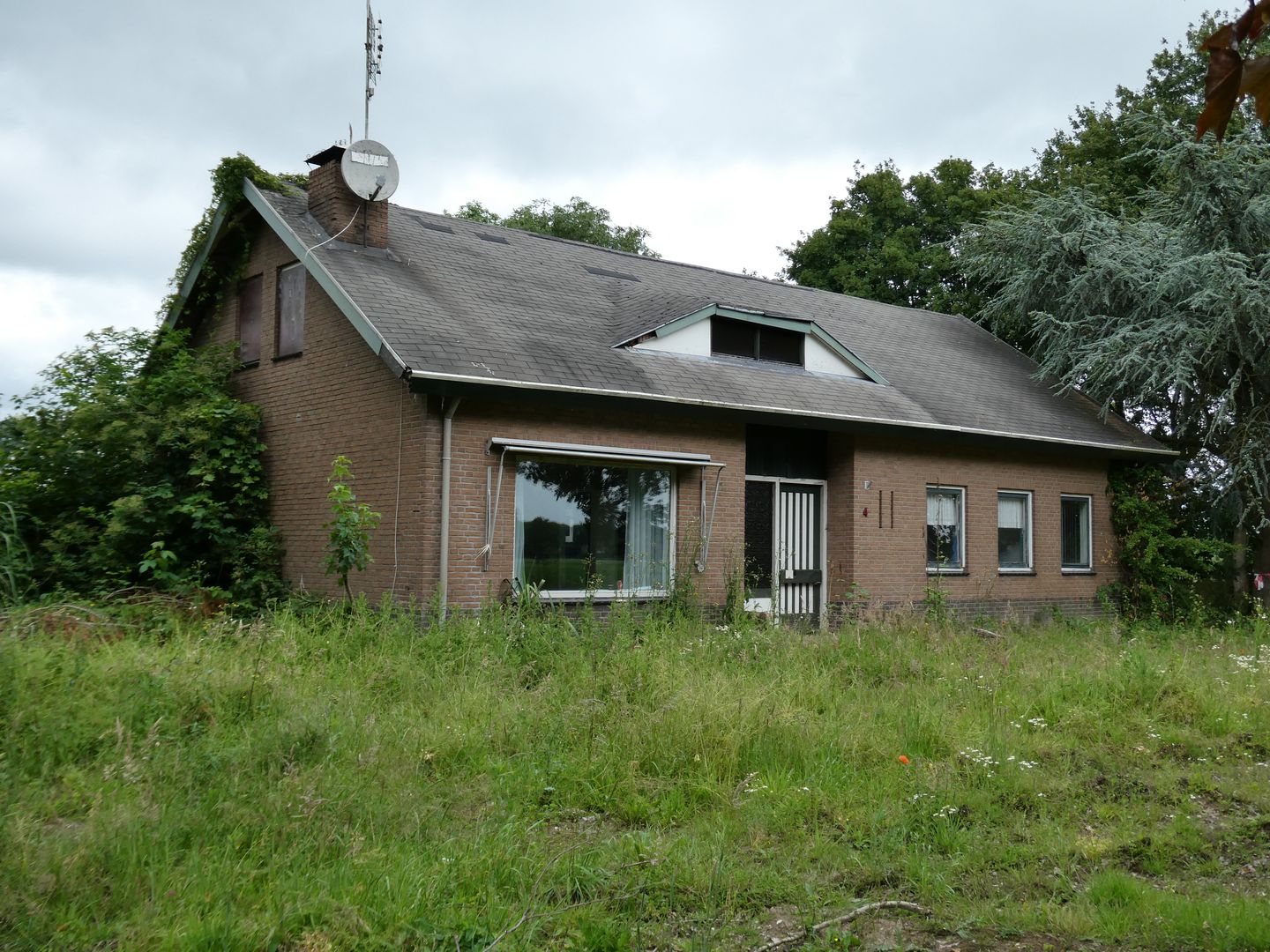 Foto 1 van Koekoek 4