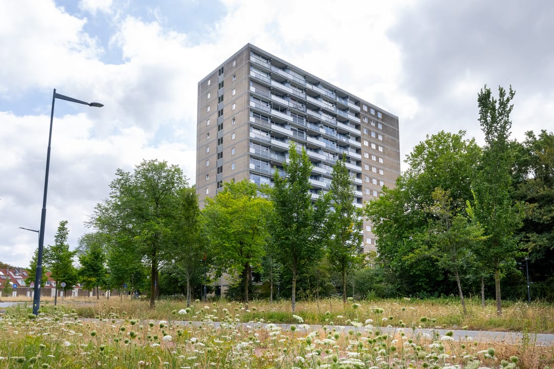 Photo 22 of Waddenstraat 439