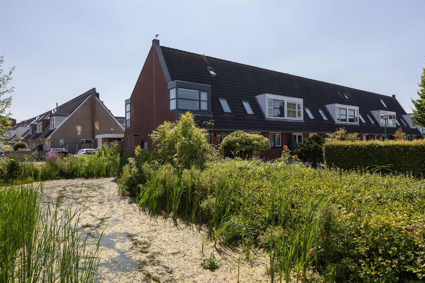 Foto 1 van Zandoogje 16