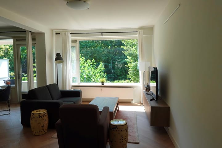 Foto 4 van De Lairesselaan 10