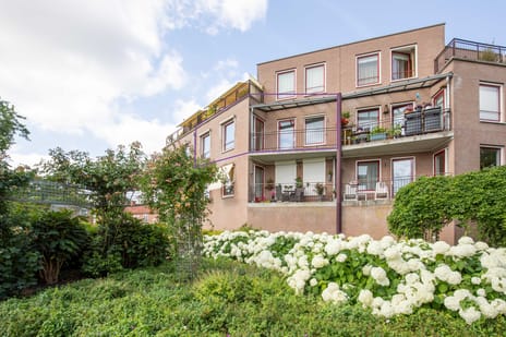 Clematisstraat thumbnail