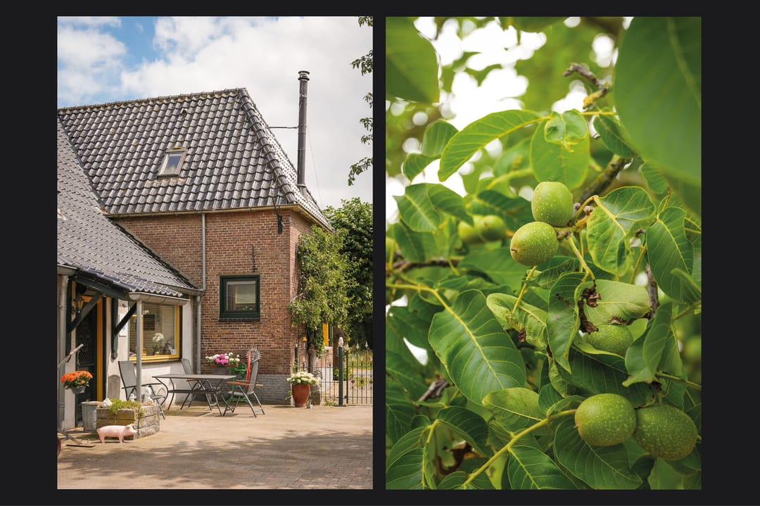 Photo 43 of Walstraat 19