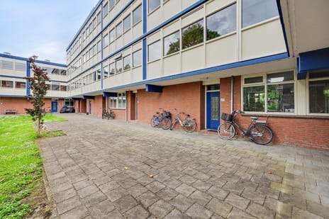 Bellevuestraat thumbnail