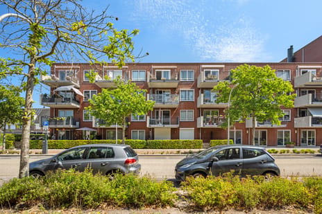 Maltaweide thumbnail