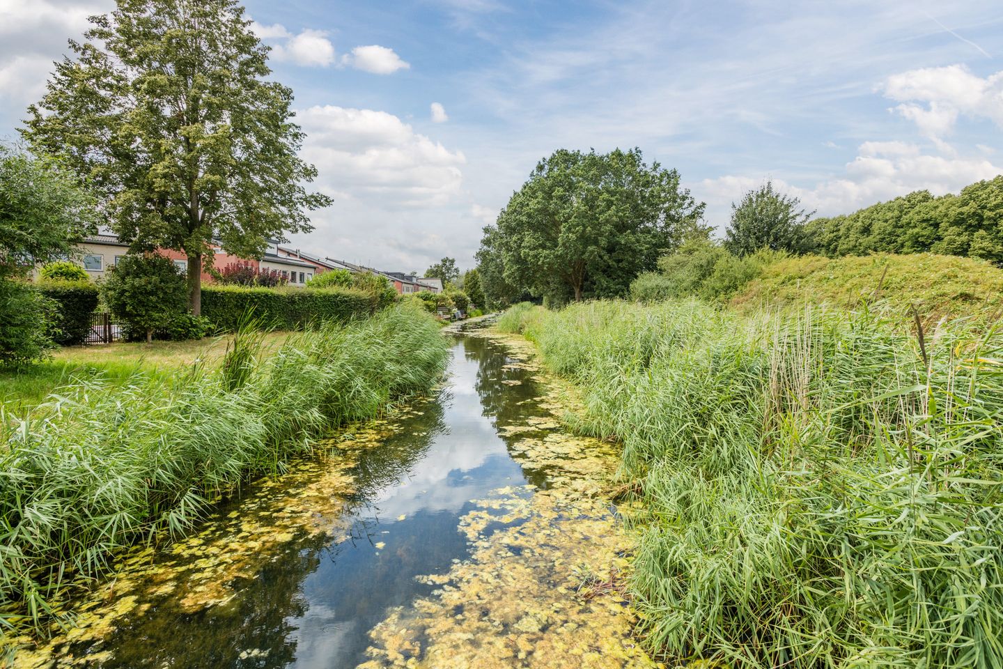 Foto 64 van Vrouwenlaan 80
