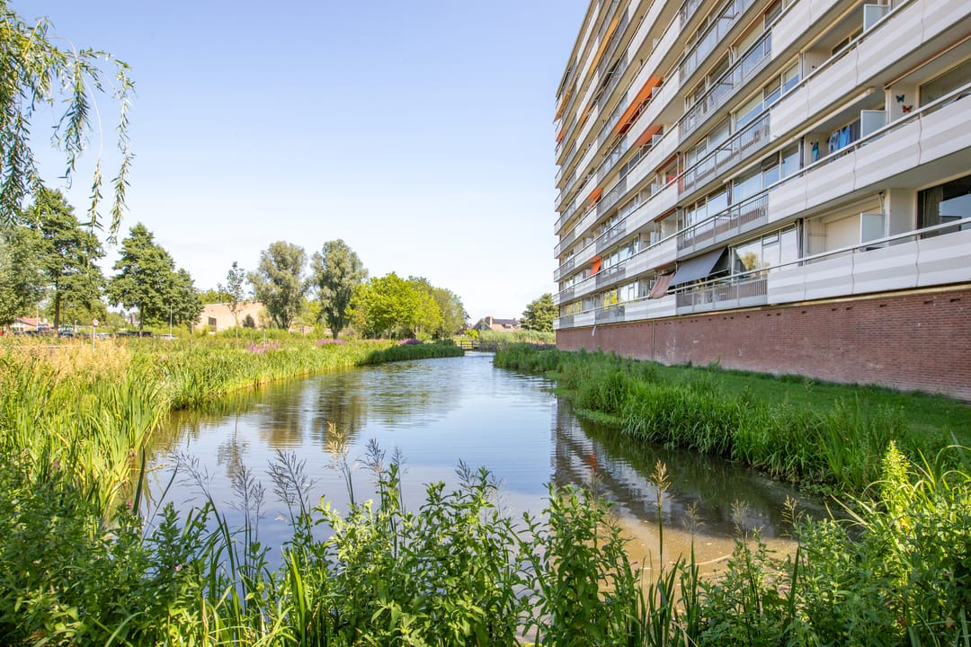 Photo 56 of Bleulandweg 422