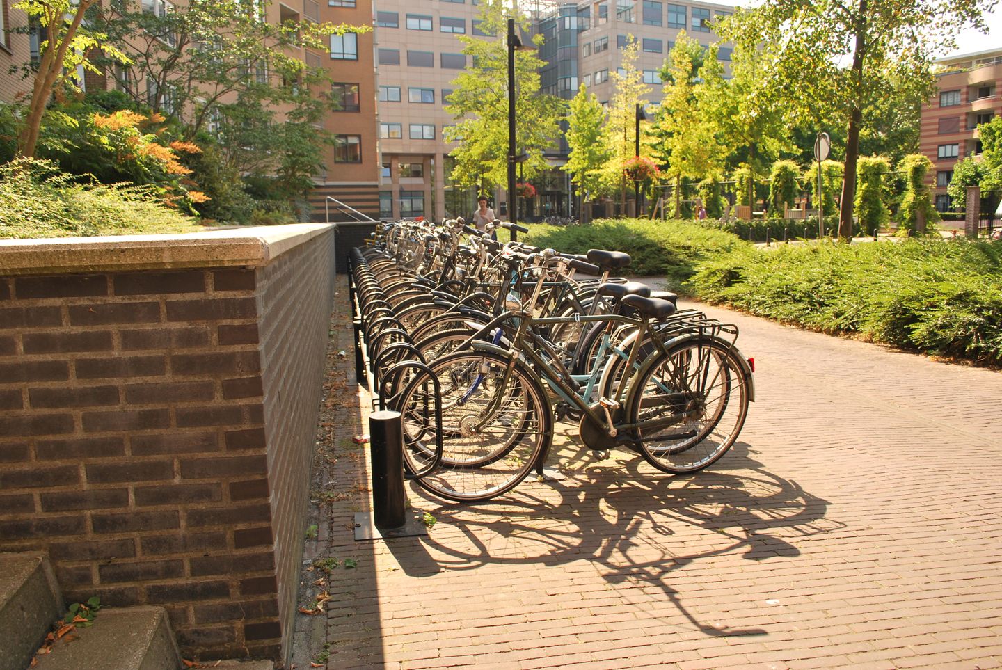 Photo 4 of Henriëtte Roland Holststraat 24