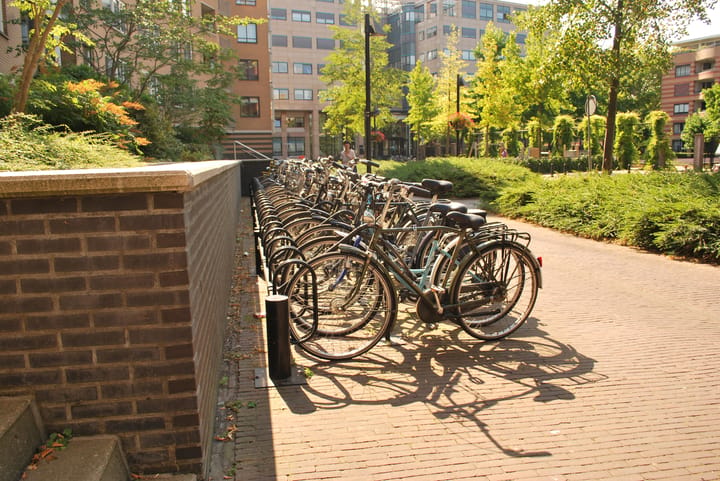 Foto 4 van Henriëtte Roland Holststraat 24