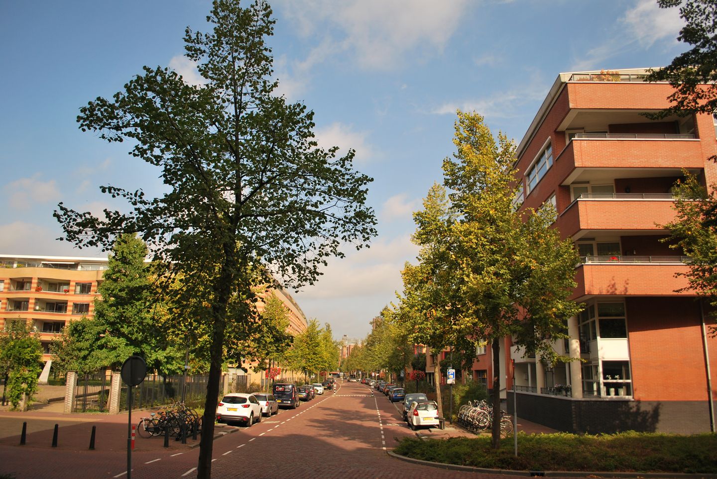 Foto 1 van Henriëtte Roland Holststraat 24
