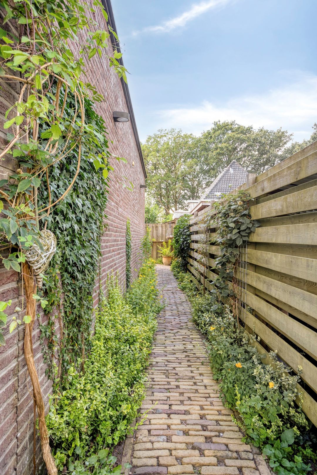 Photo 38 of Ruinerweg 26-A
