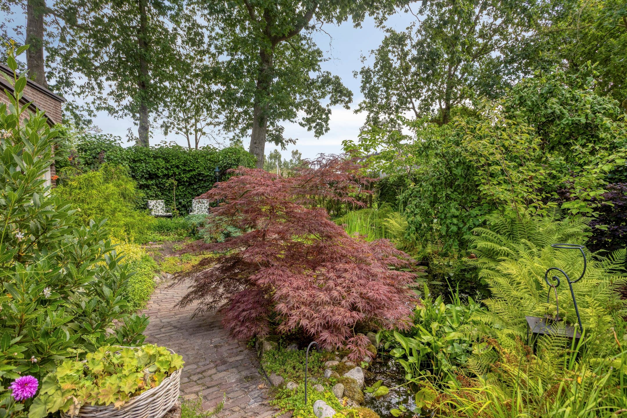 Photo 42 of Ruinerweg 26-A
