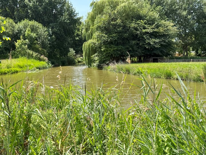 Vrijstaande woning te koop: De Terp 23, Witmarsum