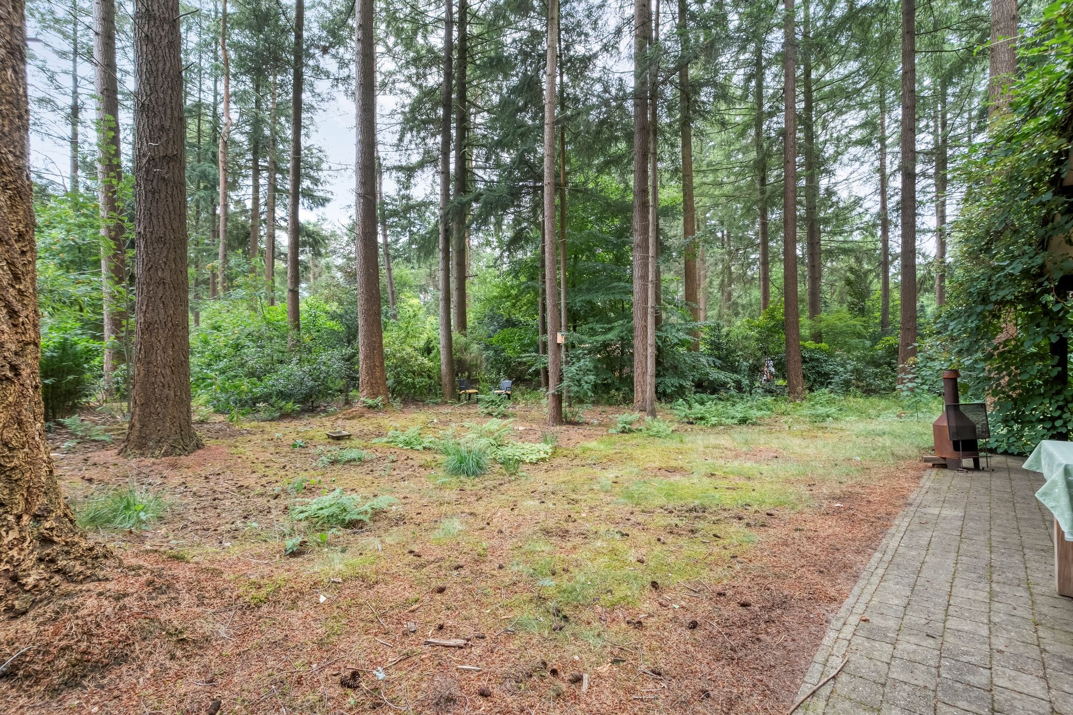 Foto 21 van Hogeveldsweg 26-323