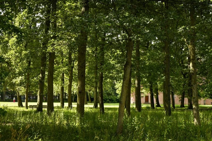 Foto 3 van De Ruwiellaan 16