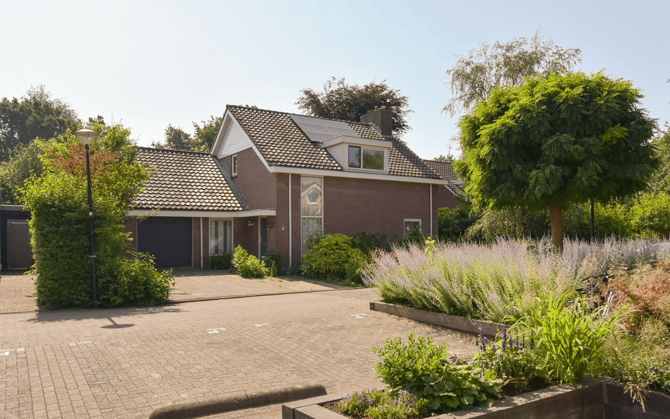 Parel 4 