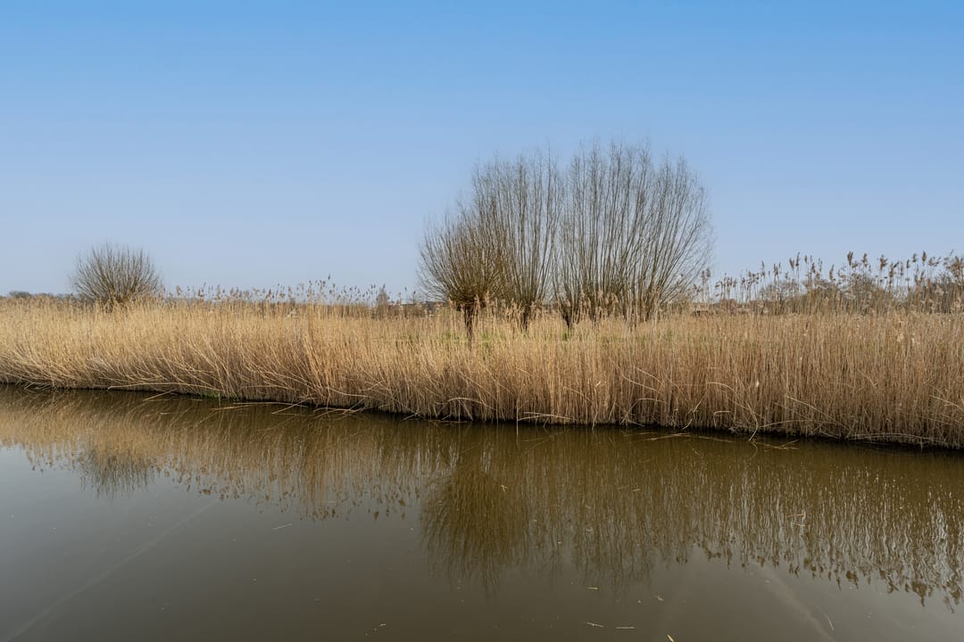 Foto 46 van Dokter Duyvendakhof 28