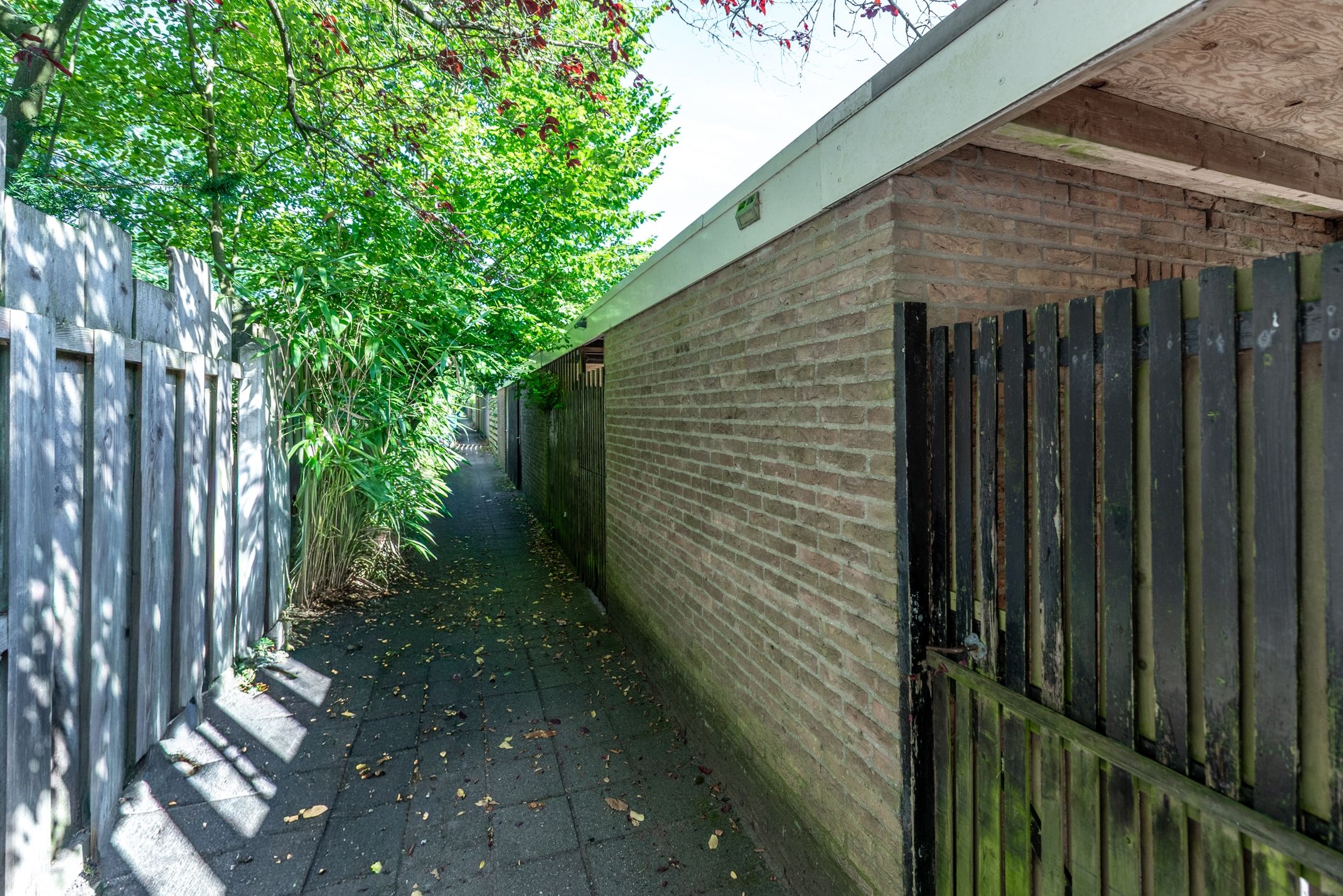 Photo 39 of Treverilaan 48