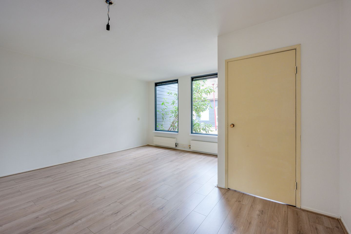 Foto 4 van Houtduif 1