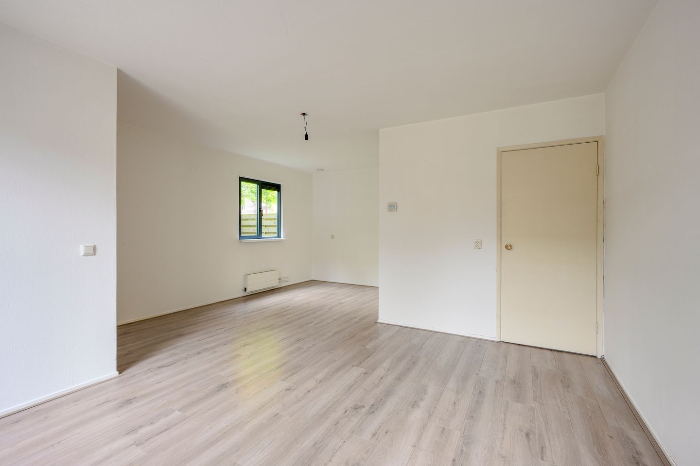 Foto 5 van Houtduif 1